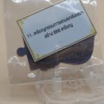 เหรียญหลวงปู่ทวด รุ่นปลดหนี้ชนะจนรวยล้านล้าน(กรรมการ) วัดพระธาตุพนม ปี2569 2